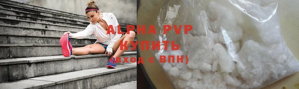 PSILOCYBIN Рославль