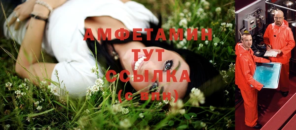 молекула духа Абинск