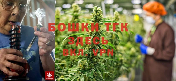 молекула духа Абинск
