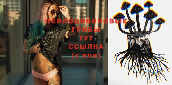 PSILOCYBIN Рославль
