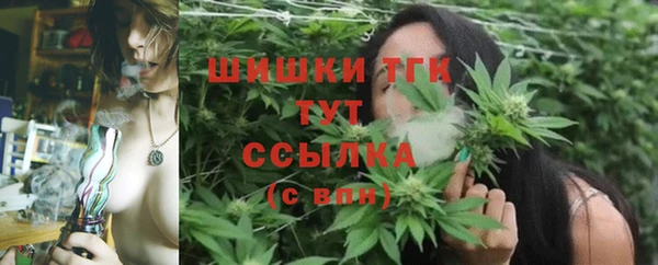 молекула духа Абинск
