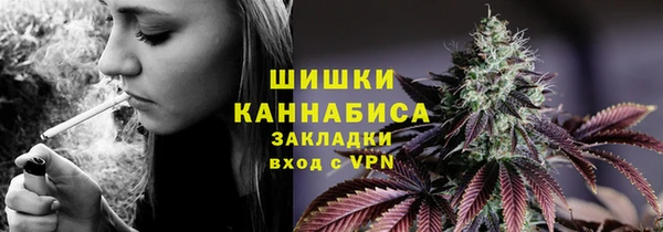 гашик Грязовец