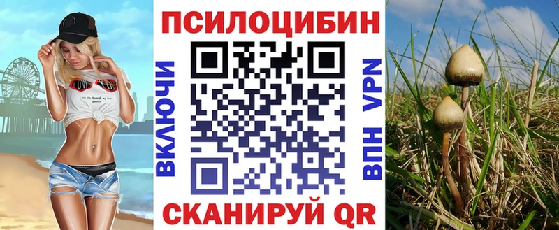 Псилоцибиновые грибы Psilocybe  Шиханы 